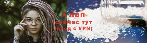 ПСИЛОЦИБИНОВЫЕ ГРИБЫ Ладушкин