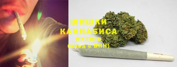 ПСИЛОЦИБИНОВЫЕ ГРИБЫ Ладушкин