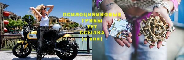 2c-b Лагань