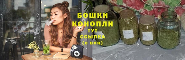 2c-b Лагань
